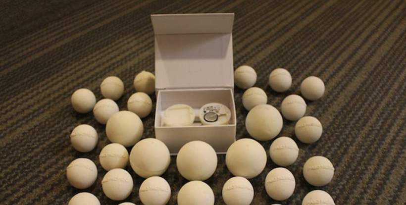 Технология 3D-печати яиц морских черепах